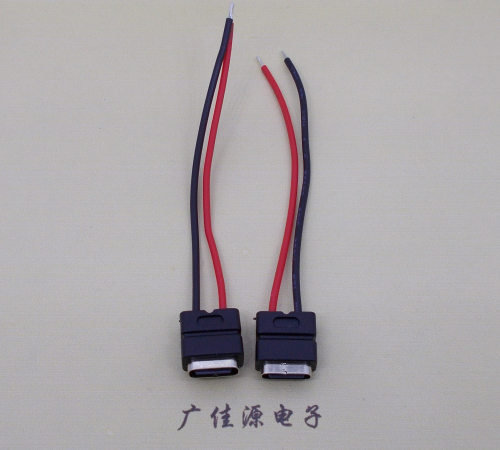 云南type c2p防水母座焊线式带线注塑成型带接线端子/不带接线端子充电连接器